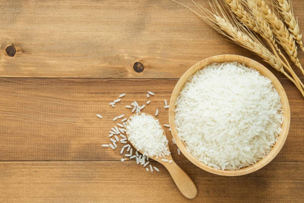 Arroz Blanco vs Arroz Integral Cuál es la mejor opción Brillante