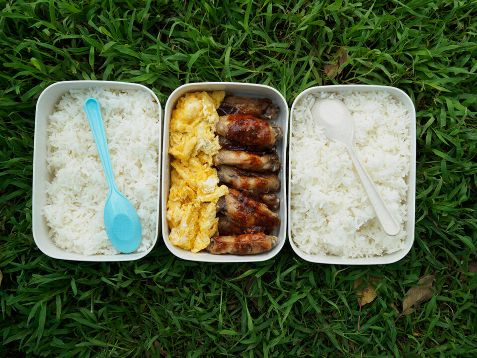 Comidas para picnic con arroz: recetas prácticas y sabrosas