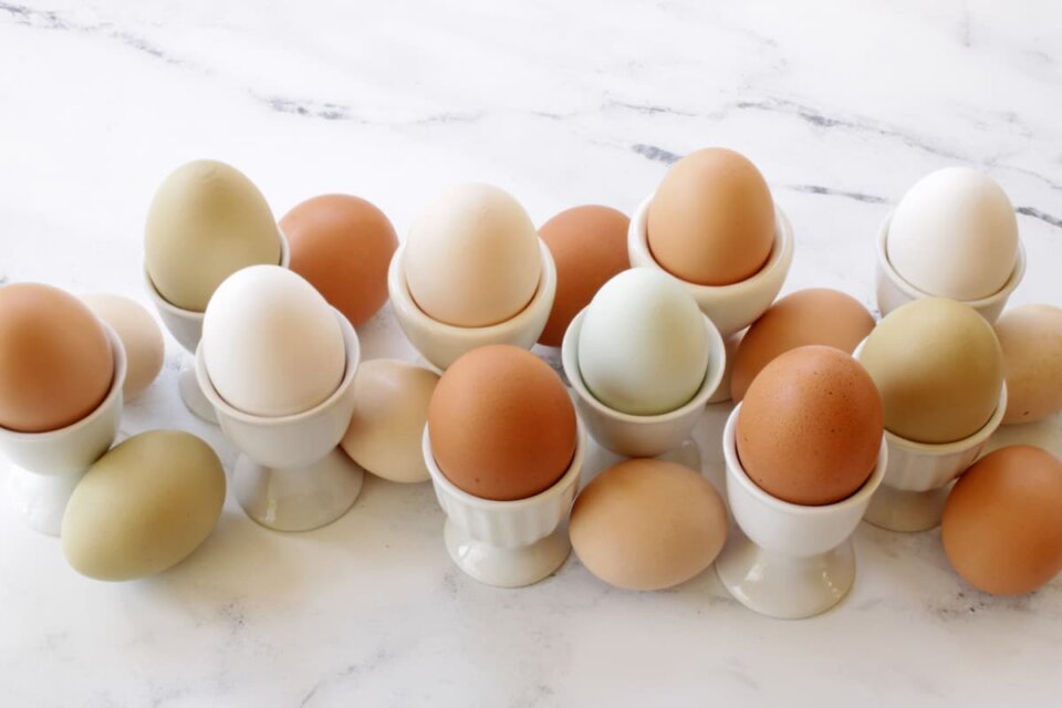 Cómo cocer un huevo en el microondas: guía completa y rápida