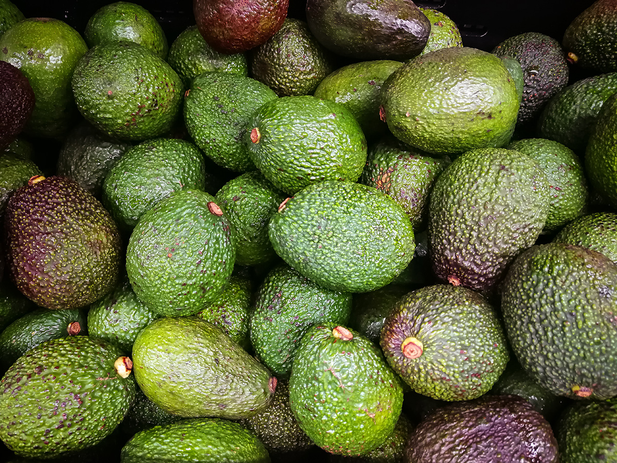 aguacate maduro