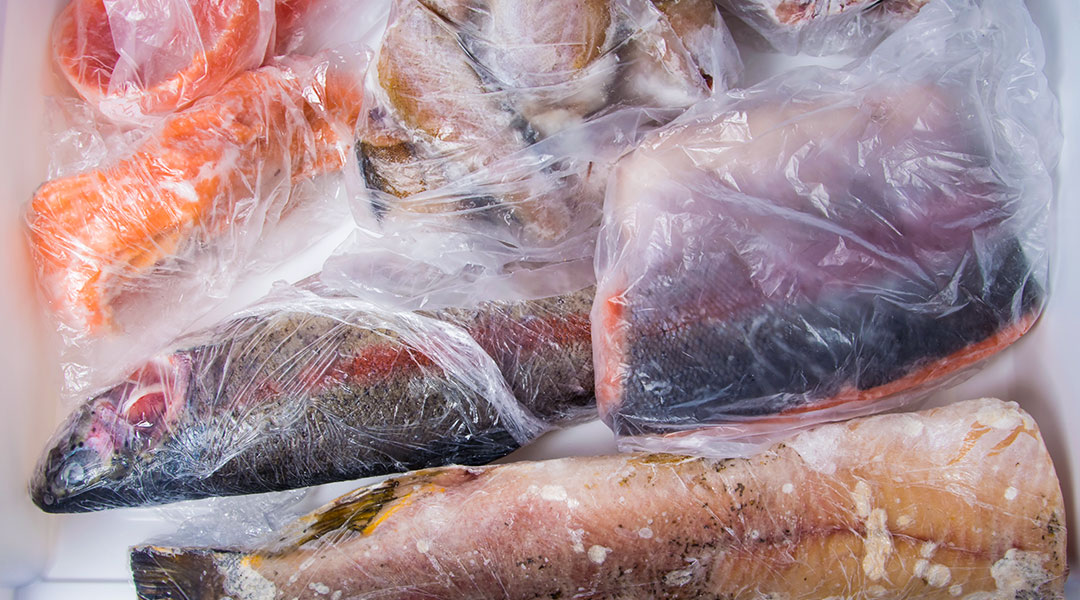 Consejos para la compra y conservación del pescado