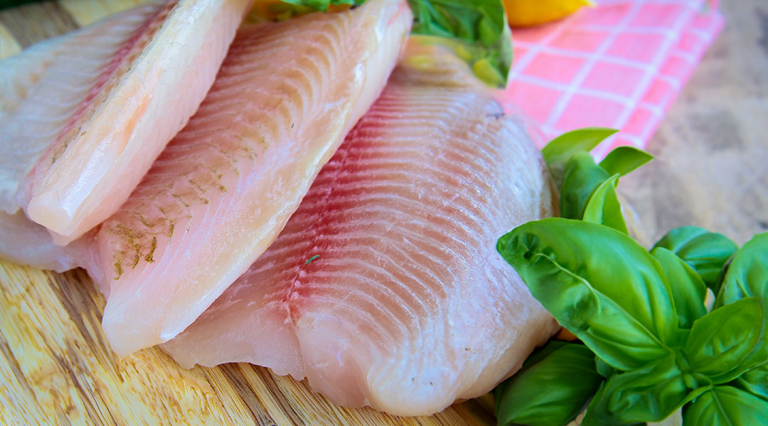 Diferencias entre pescado blanco y azul