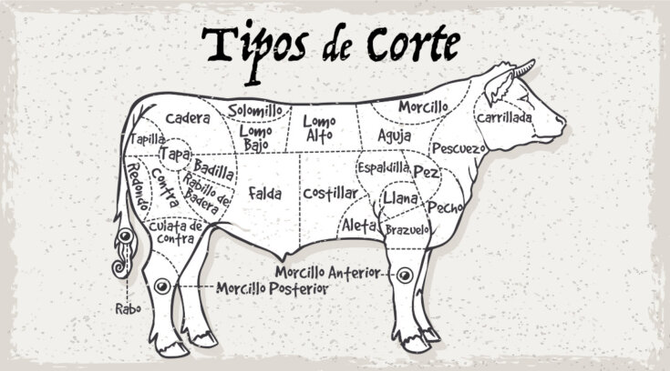 tipos-de-corte-vacuno