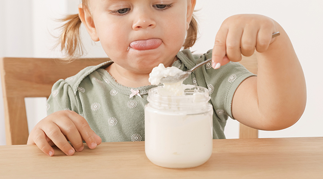 Tipos de alimentos fermentados