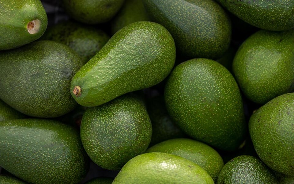 Cuántos aguacates se pueden comer a la semana