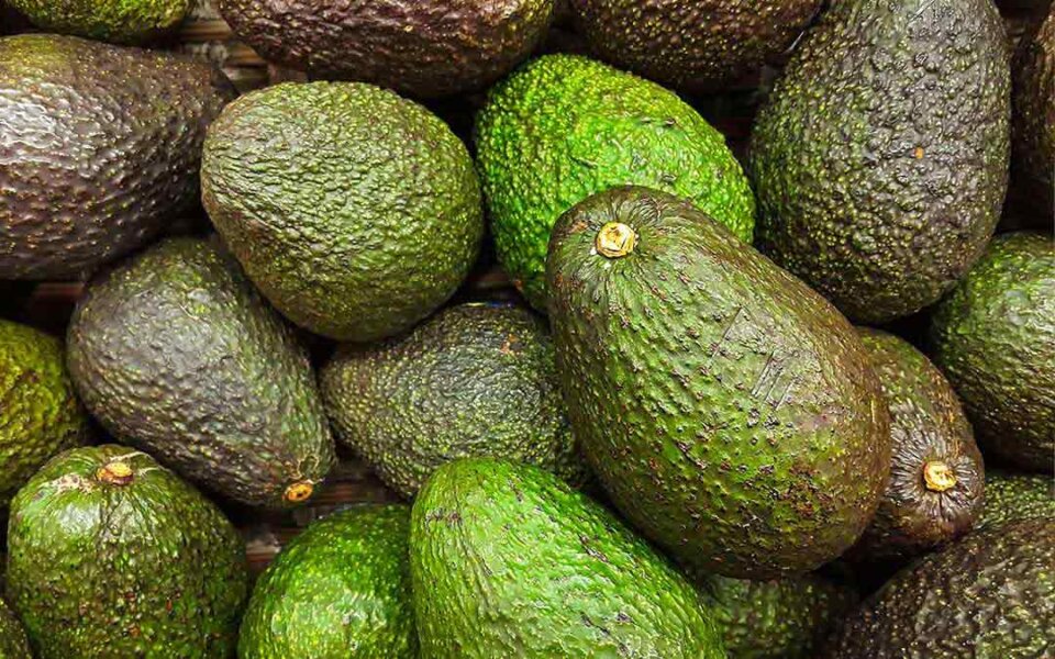 Cómo madurar un aguacate de forma rápida y eficaz